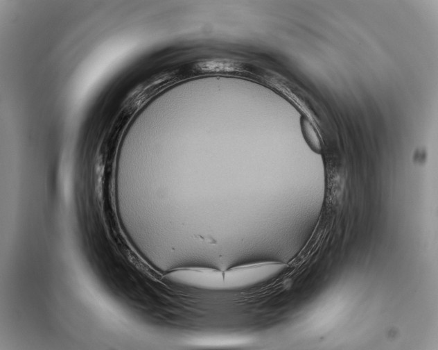 X0000097911151200804111106