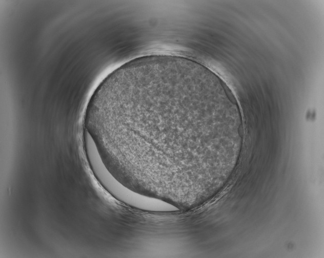 X0000097911152200804111106