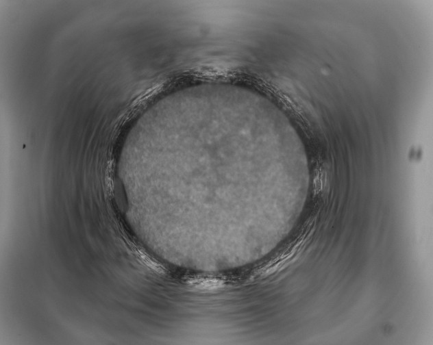 X0000097911156200804111105