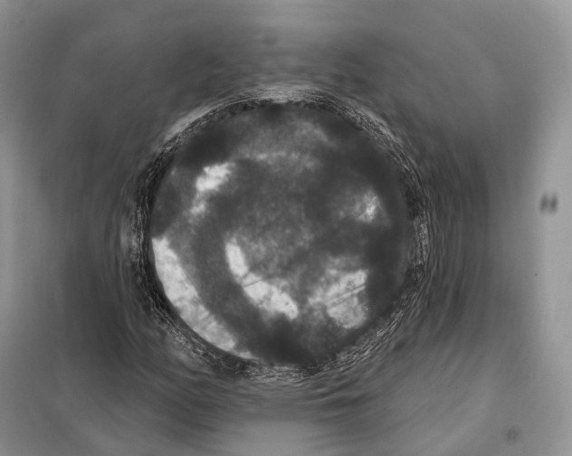 X0000097911158200804111104