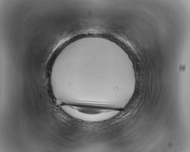 X0000097911160200804111104