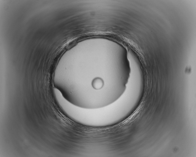 X0000097911161200804111104