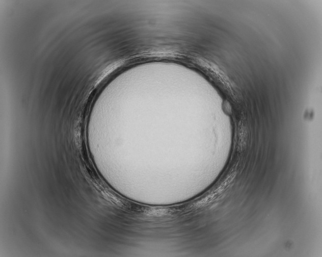 X0000097911162200804111104