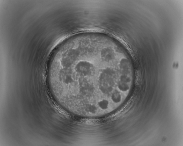 X0000097911163200804111104