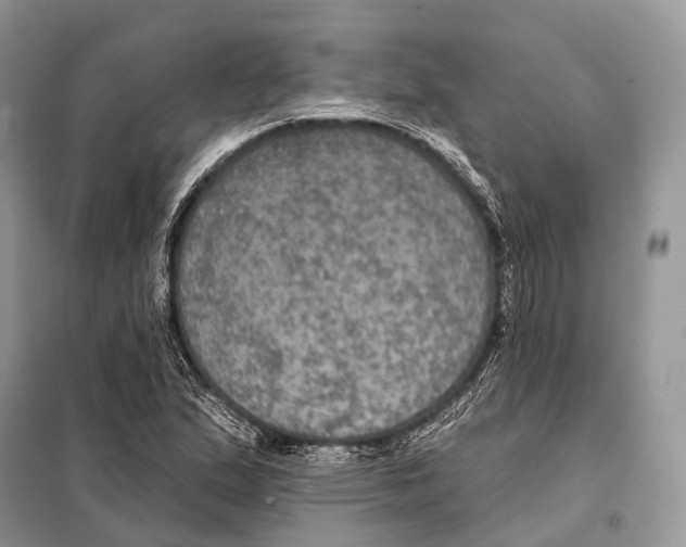 X0000097911167200804111104