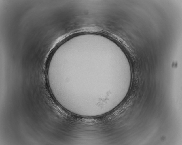 X0000097911168200804111104