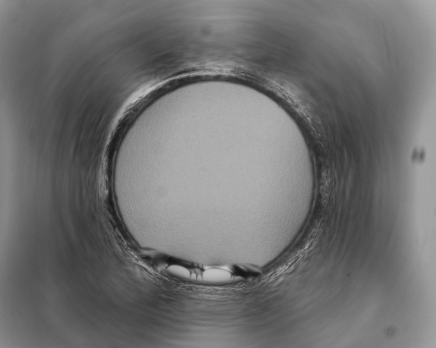 X0000097911172200804111104