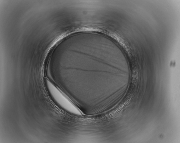 X0000097911173200804111104