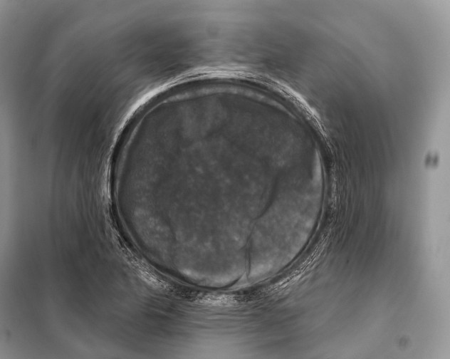 X0000097911174200804111104