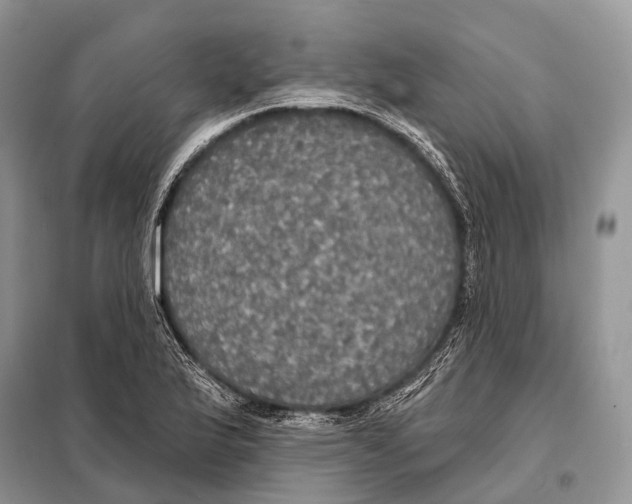 X0000097911175200804111104