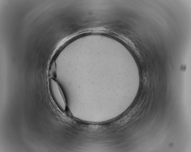 X0000097911176200804111104