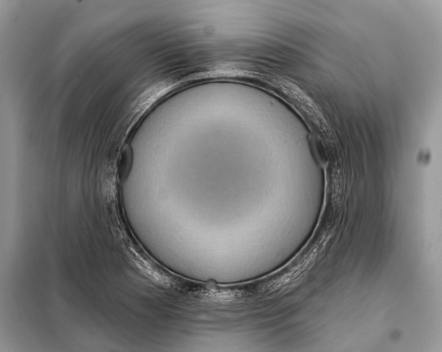 X0000097911177200804111104