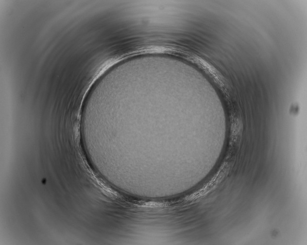 X0000097911178200804111104