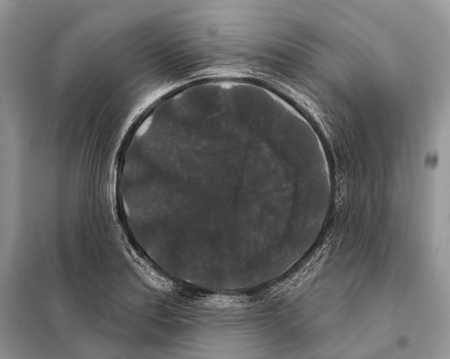 X0000097911179200804111104