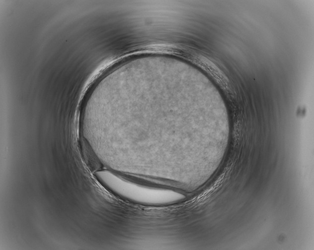 X0000097911180200804111104