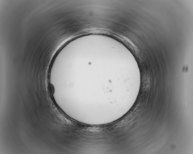 X0000097911182200804111104