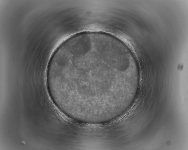 X0000097911183200804111104