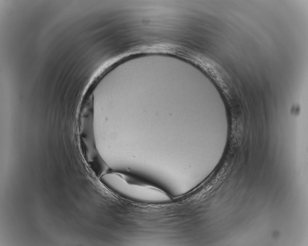 X0000097911184200804111104