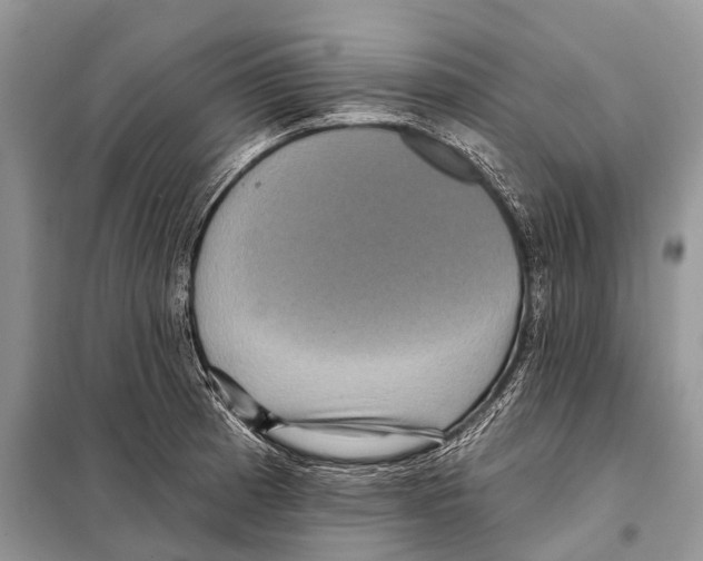 X0000097911185200804111104