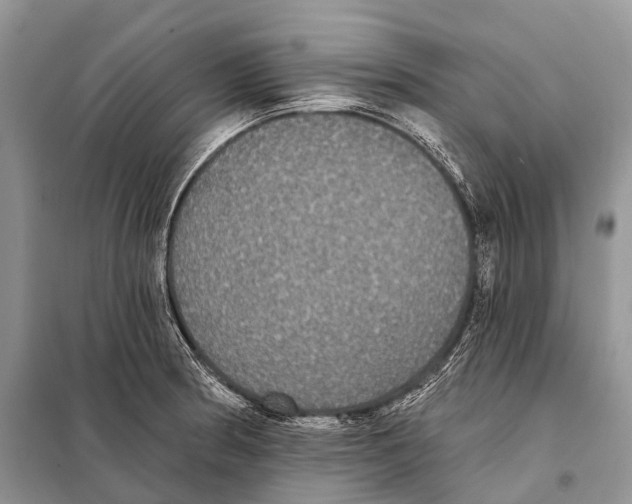 X0000097911186200804111104