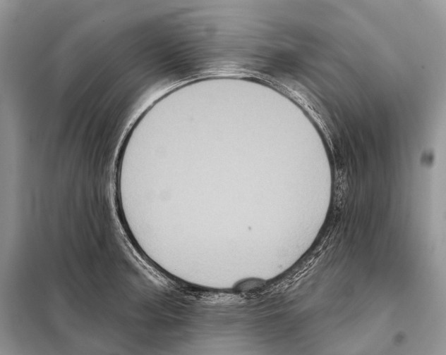 X0000097911187200804111104