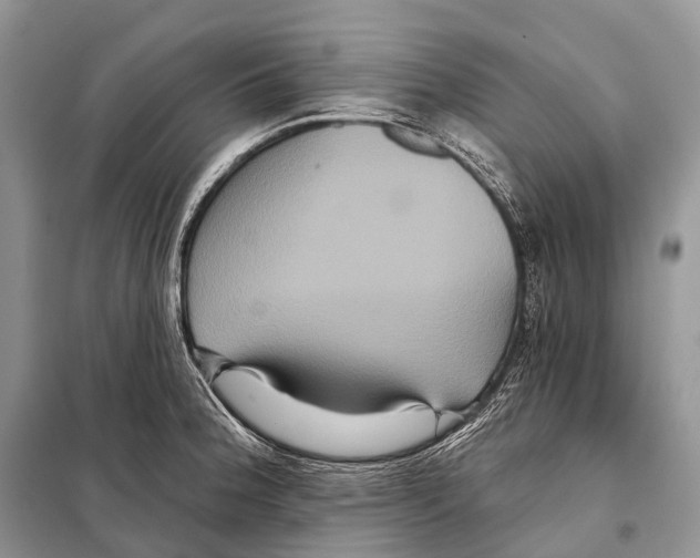 X0000097911188200804111104