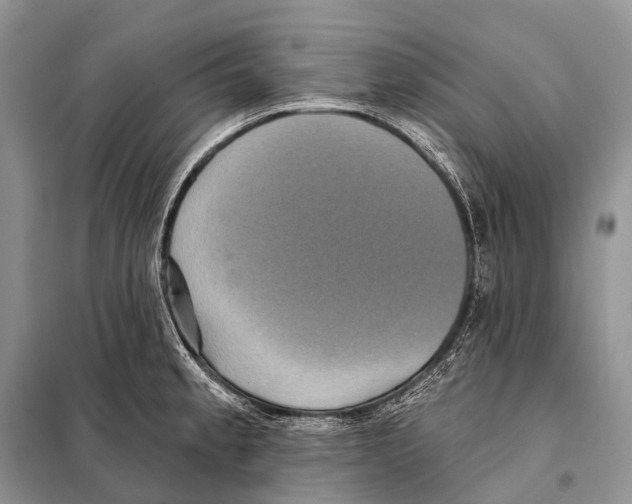 X0000097911189200804111104