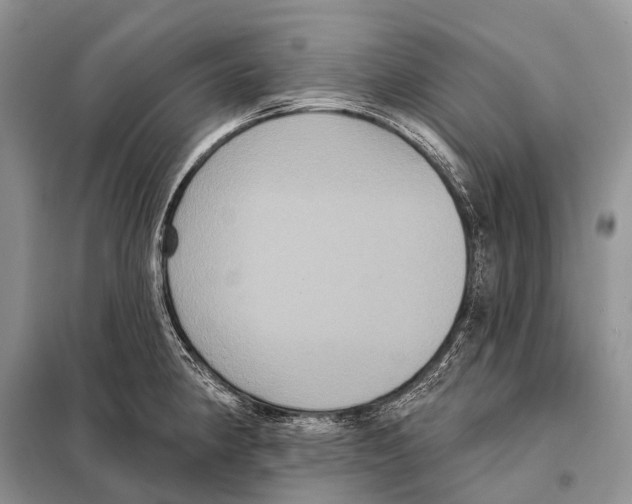 X0000097911190200804111104