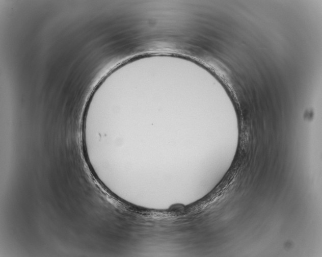 X0000097911191200804111104