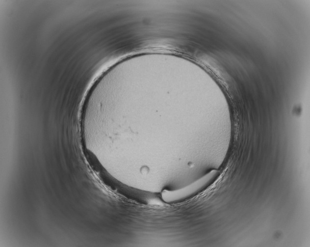 X0000097911192200804111104