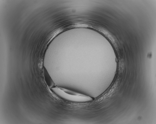 X0000097911193200804111104