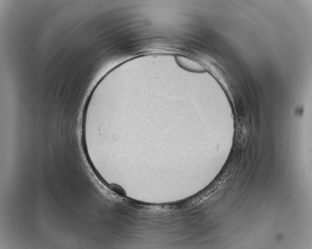 X0000097911195200804111104