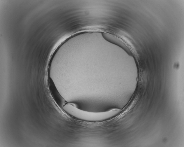 X0000097911196200804111104