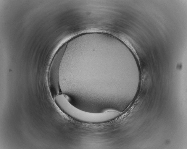 X0000097911197200804111104