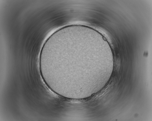 X0000097911199200804111104