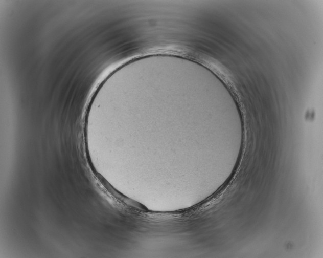 X0000097911200200804111104