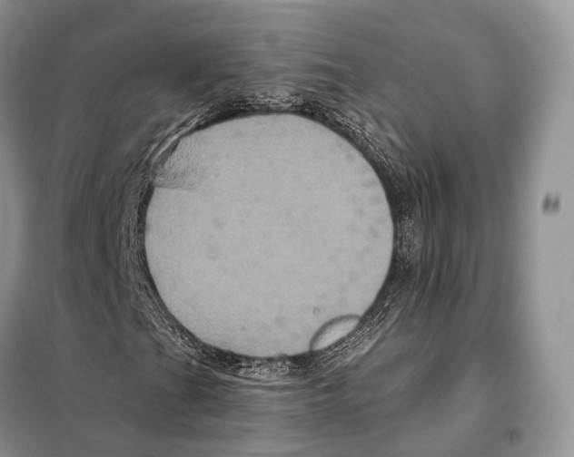 X0000097911201200804111103