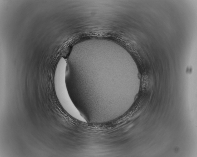 X0000097911202200804111103