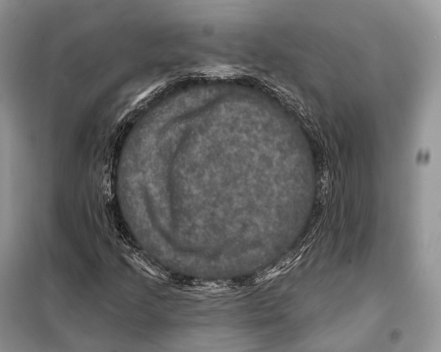 X0000097911205200804111103