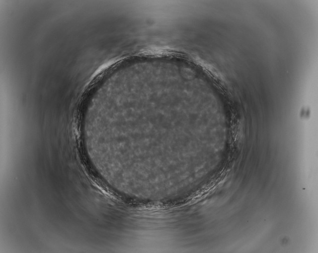 X0000097911206200804111103