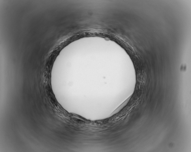 X0000097911207200804111103