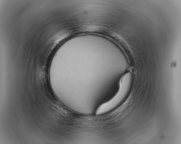 X0000097911210200804111103