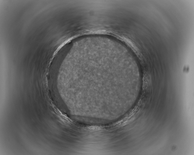 X0000097911212200804111103