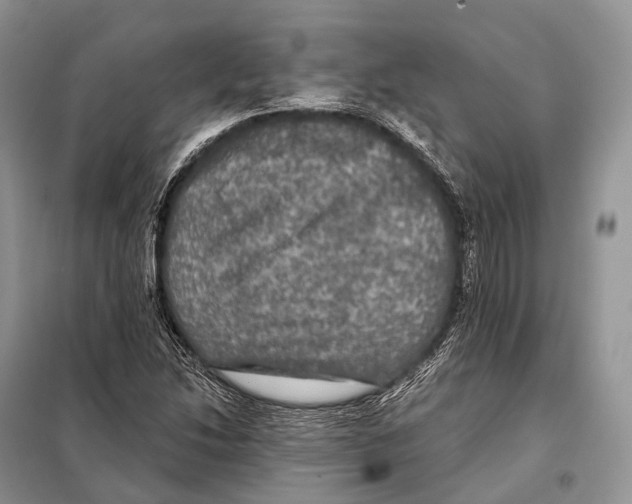 X0000097911214200804111103