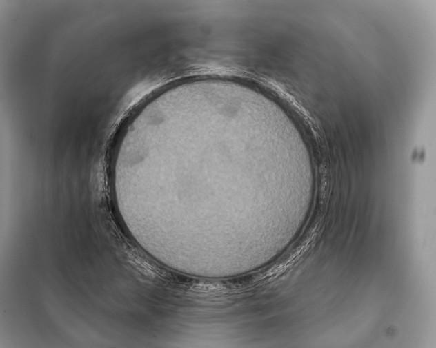 X0000097911215200804111103