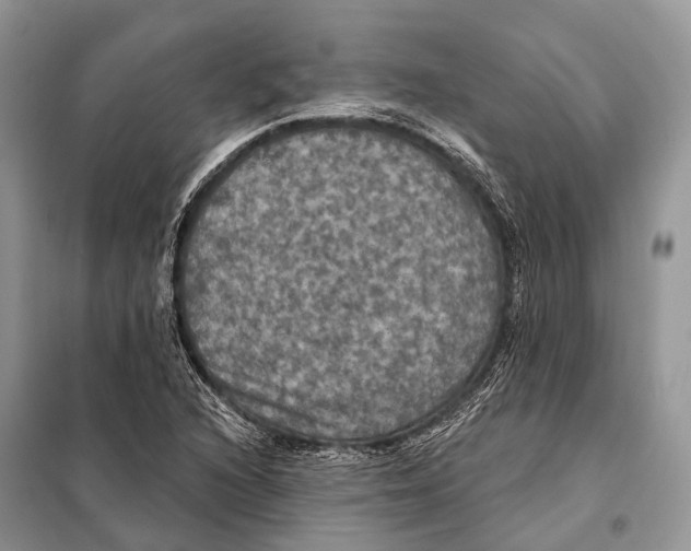 X0000097911216200804111103