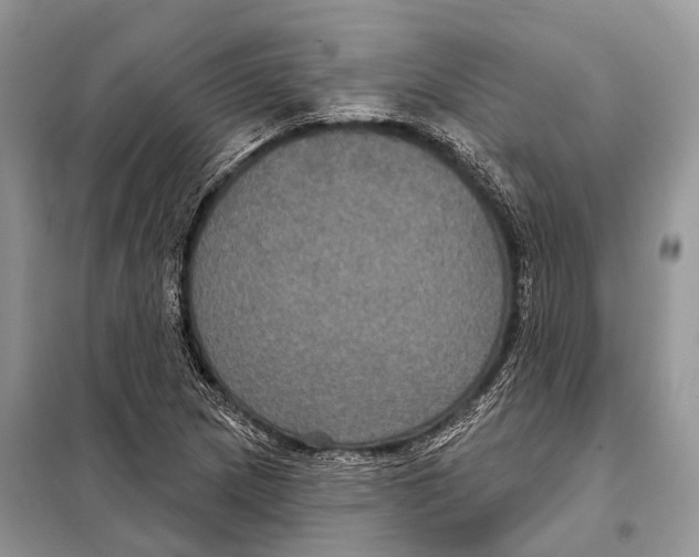 X0000097911217200804111103