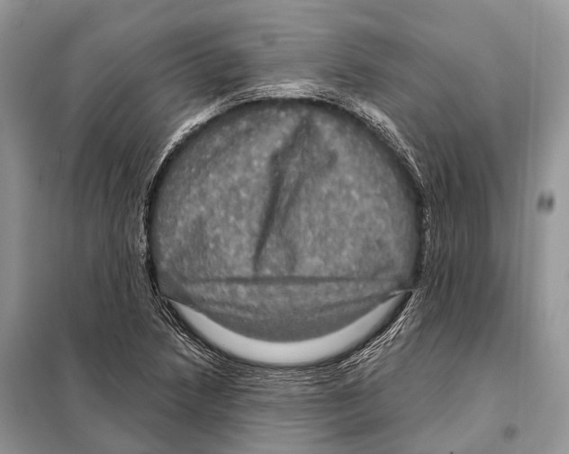 X0000097911218200804111103