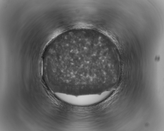 X0000097911219200804111103