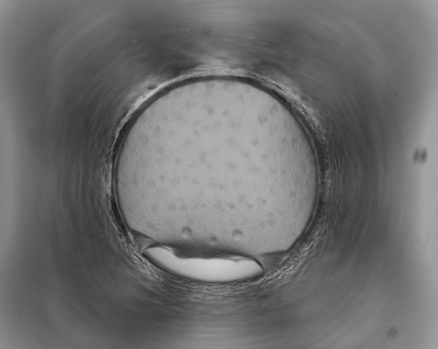 X0000097911220200804111103